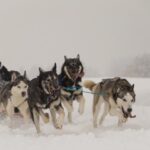 Fotolia 14056425 M
