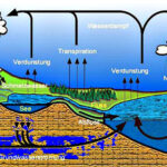 Trinkwasser4